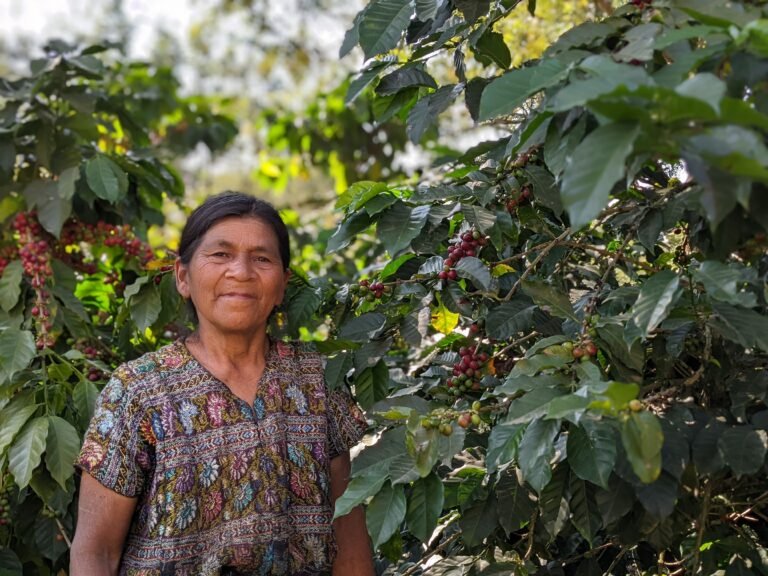 coffee farmers